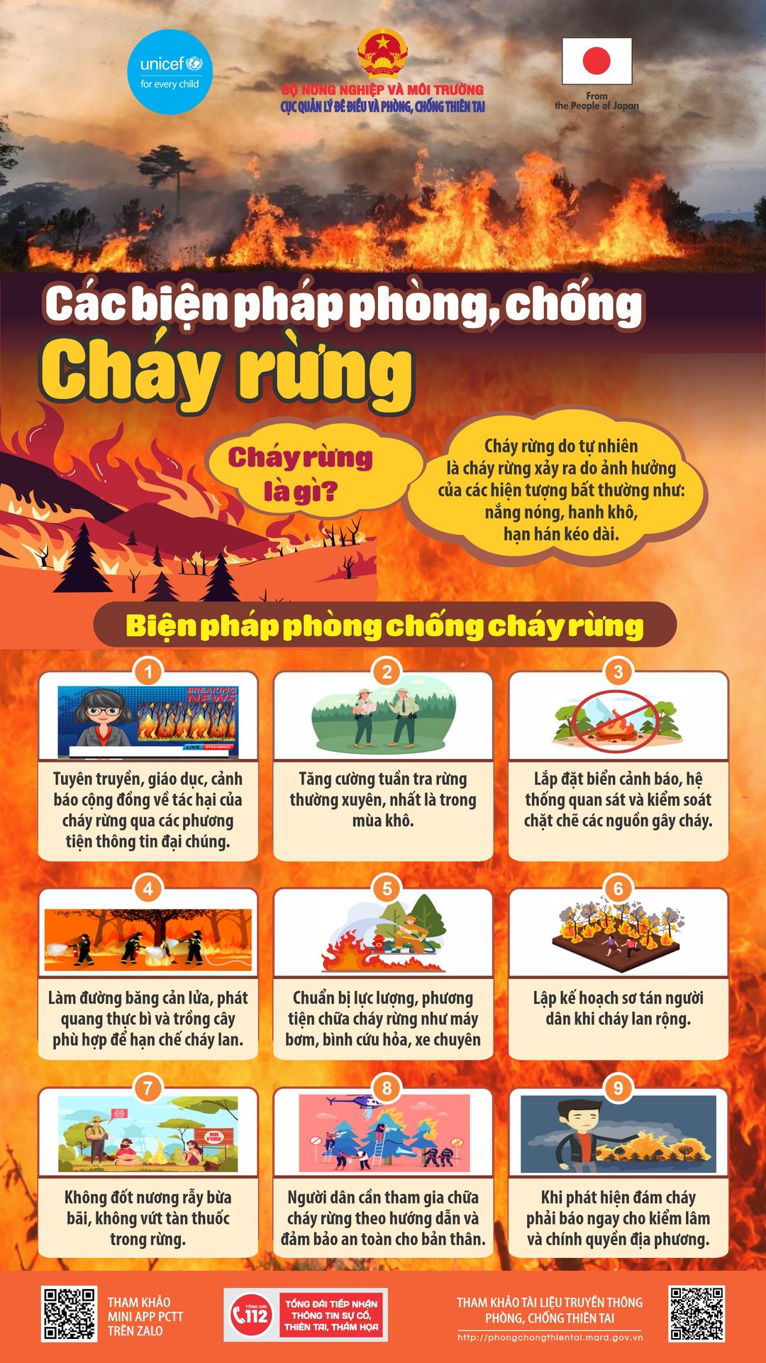 Các biện pháp phòng chống cháy rừng