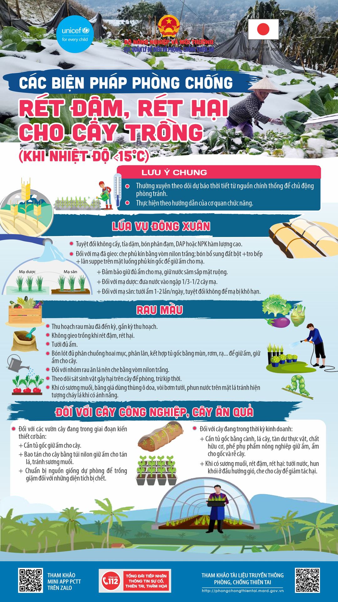 Cách phòng chống rét đậm, rét hại cho cây trồng